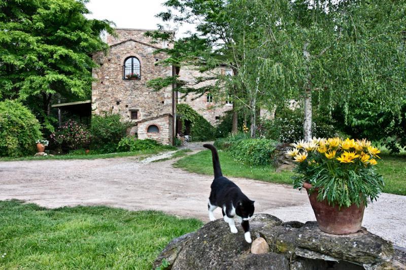 Il Molendino Pisa B&B Calci Eksteriør bilde