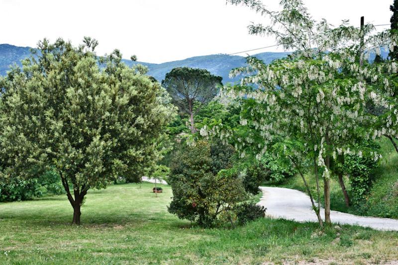 Il Molendino Pisa B&B Calci Eksteriør bilde