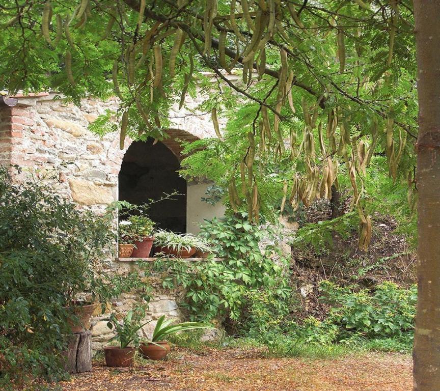 Il Molendino Pisa B&B Calci Eksteriør bilde