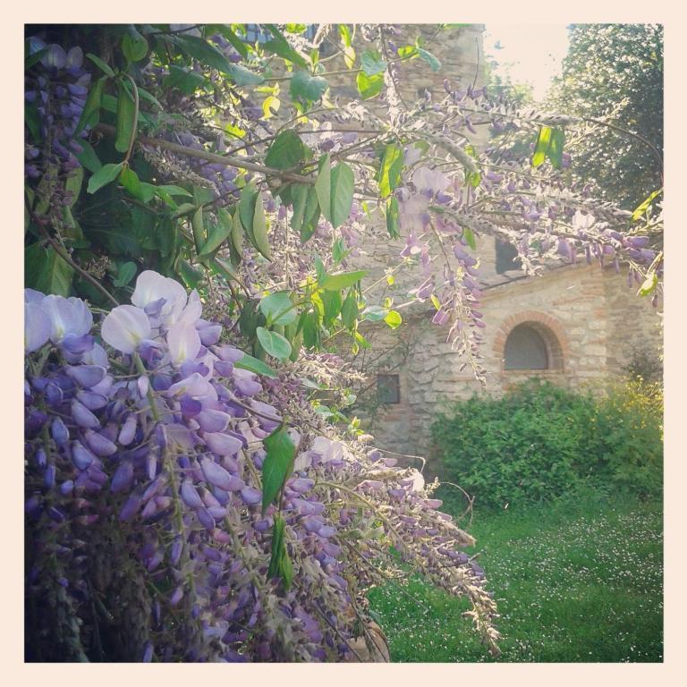 Il Molendino Pisa B&B Calci Eksteriør bilde